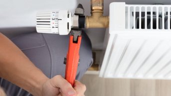 Petek Temizliği Hizmeti